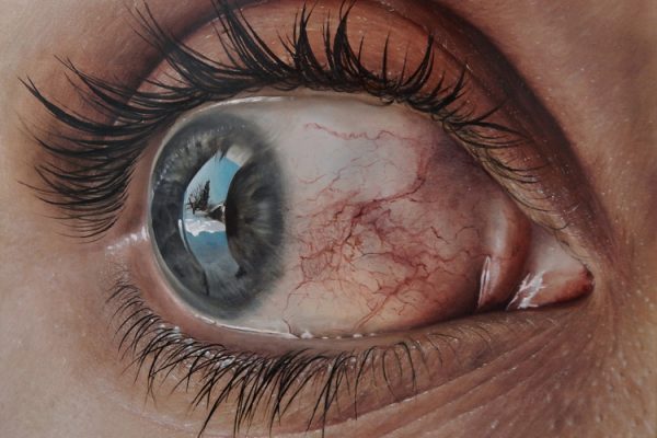 Artista cria pinturas hiper-realistas que assustam e se passam facilmente por fotos 3