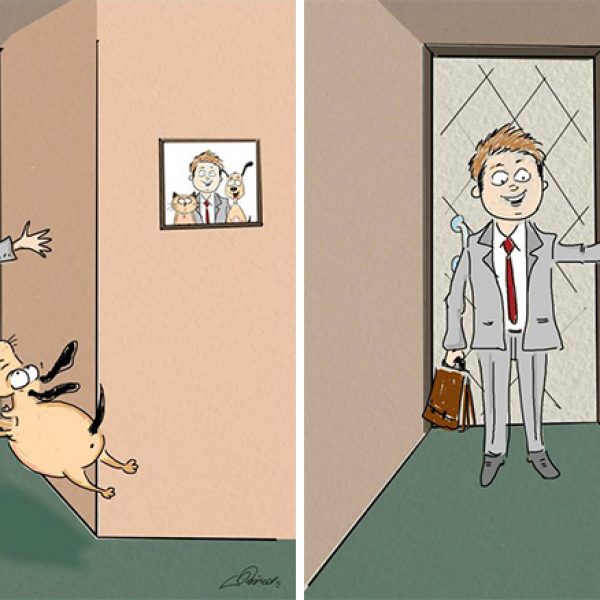 cats-vs-dogs-funny-illustrations-bird-born-2