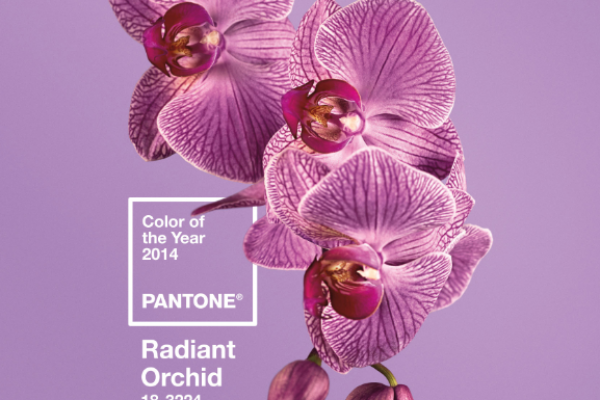 pantone color of 2014