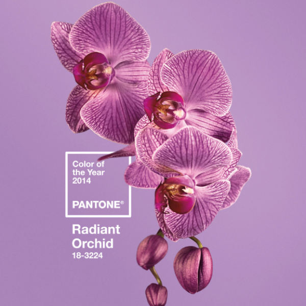 pantone color of 2014