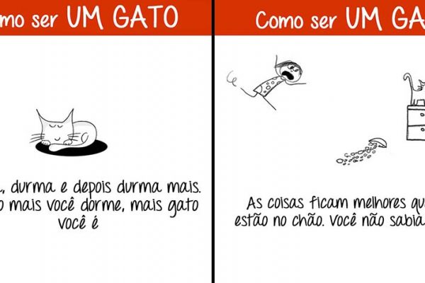 ser um gato capa