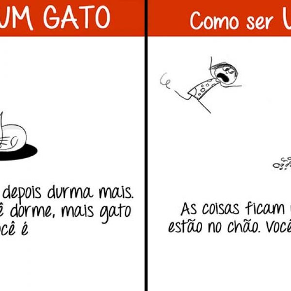 ser um gato capa